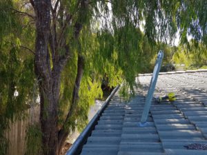 Gutter Cleaning